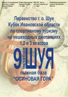 Кубок области Кубок области